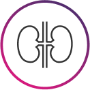 kidney-icon
