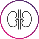 Gout and CKD icon